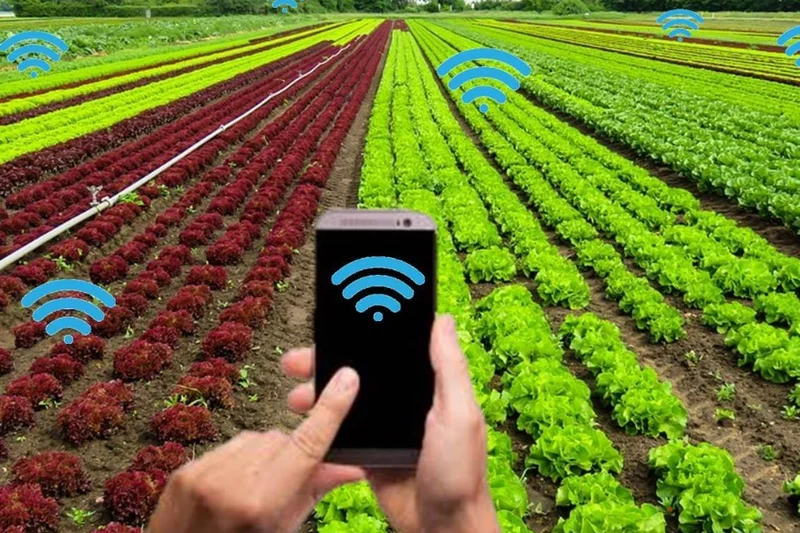 ¿Qué ofrece la agricultura de precisión?