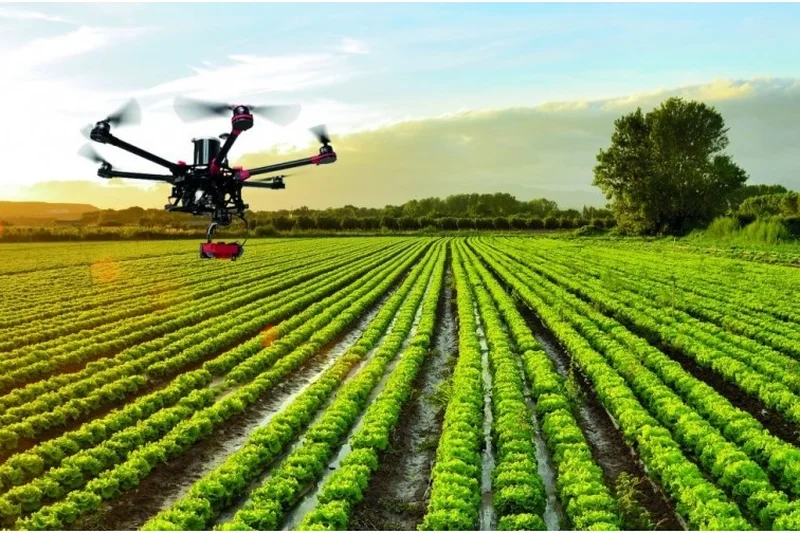 Sensores en Agricultura de Precisión: Otros sensores (V)